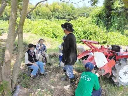 community development